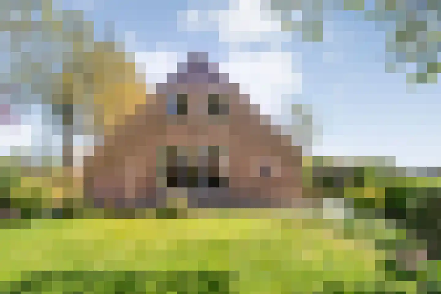 Marsweg 2 Wijster thumbnail 66