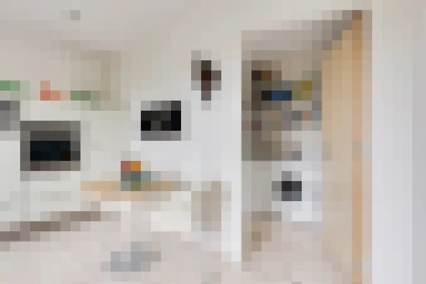 Marsweg 24 Spijk thumbnail 20