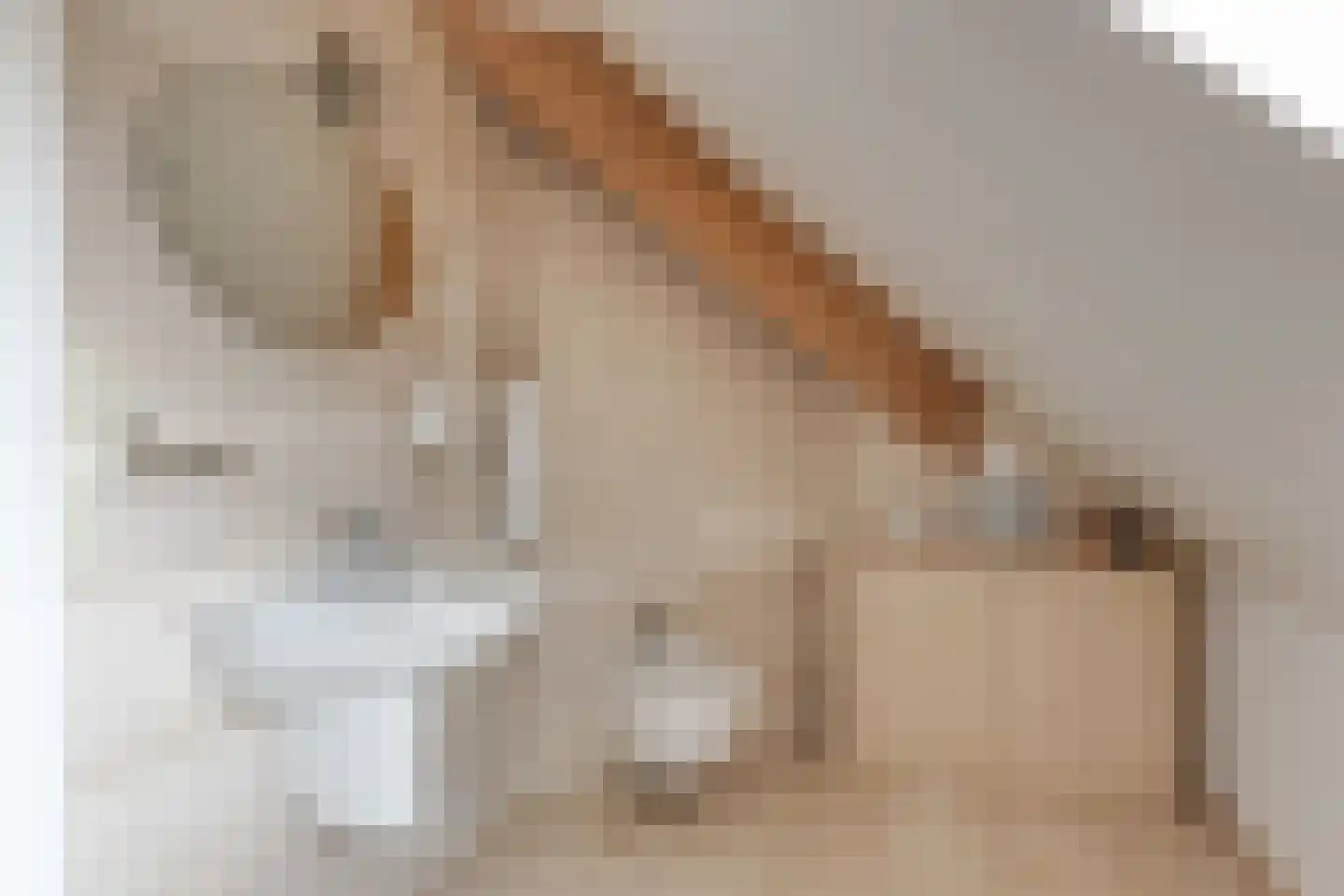 Marsweg 24 Spijk thumbnail 35