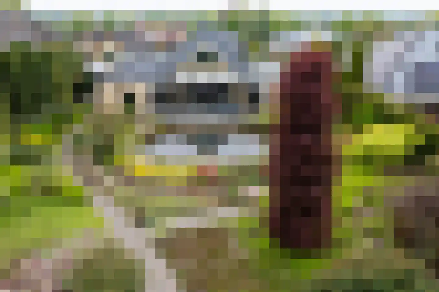 Marsweg 24 Spijk thumbnail 40