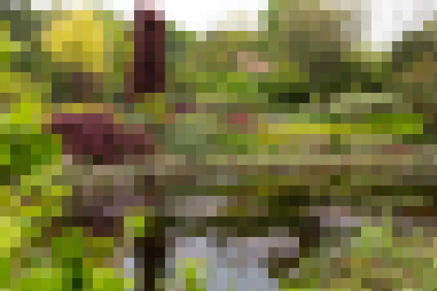 Marsweg 24 Spijk thumbnail 44