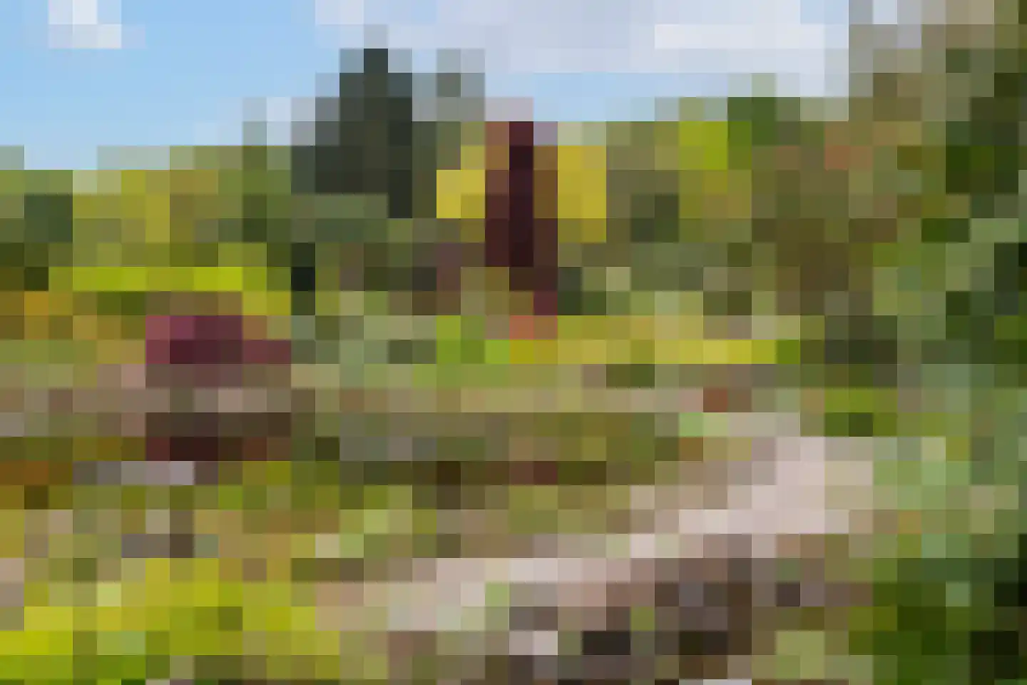 Marsweg 24 Spijk thumbnail 45
