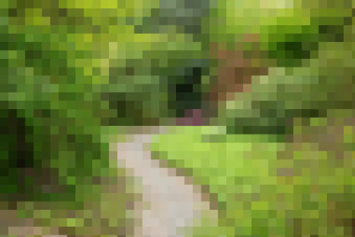 Marsweg 24 Spijk thumbnail 48
