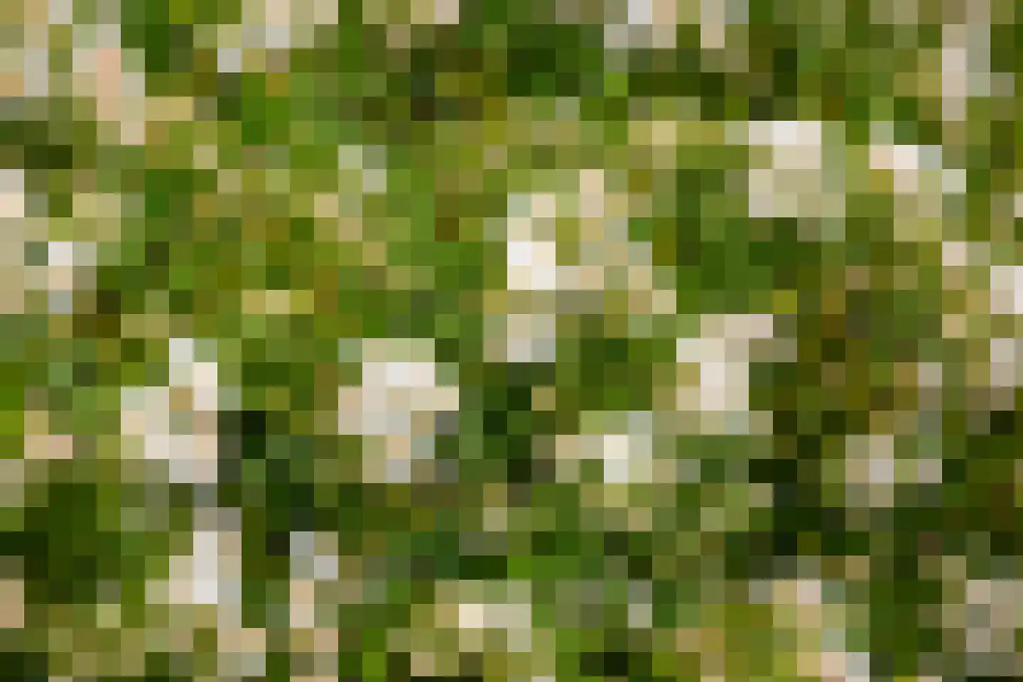 Marsweg 24 Spijk thumbnail 49