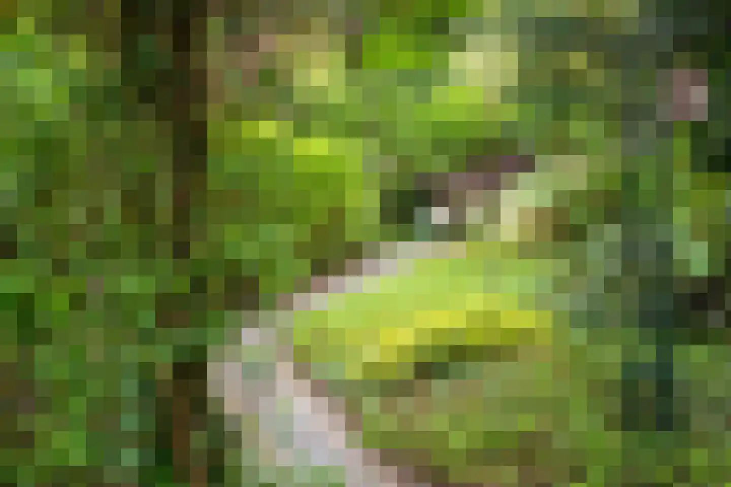 Marsweg 24 Spijk thumbnail 50
