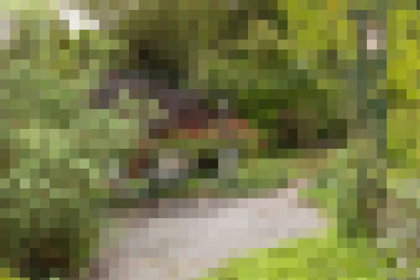 Marsweg 24 Spijk thumbnail 51