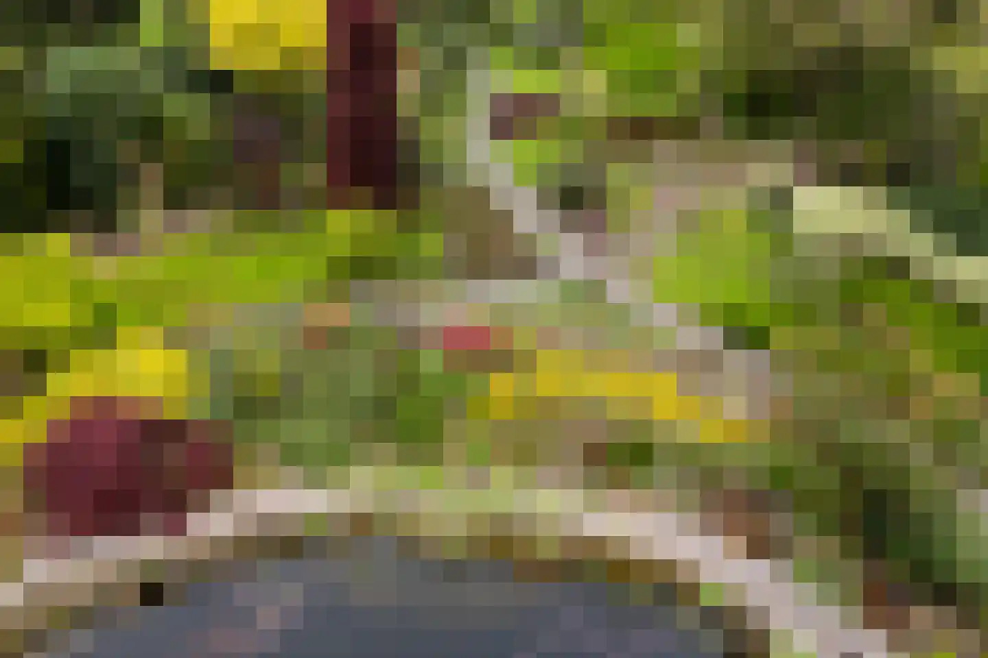 Marsweg 24 Spijk thumbnail 52