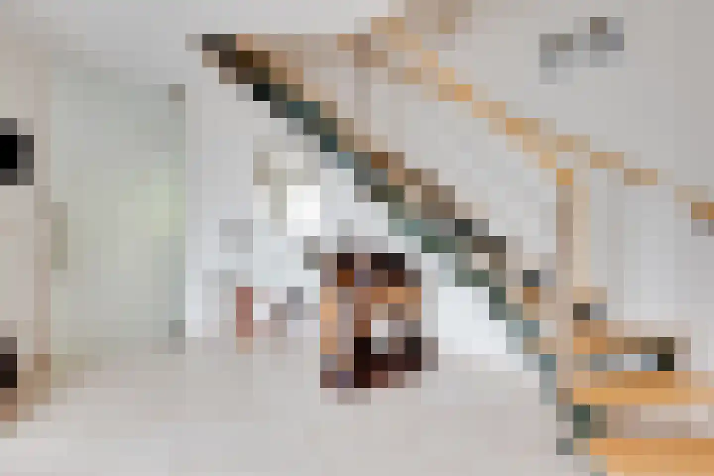 Marsweg 24 Spijk thumbnail 8