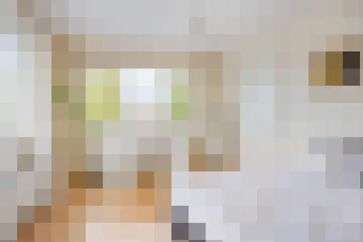 Marsweg 28 L Zeewolde thumbnail 16