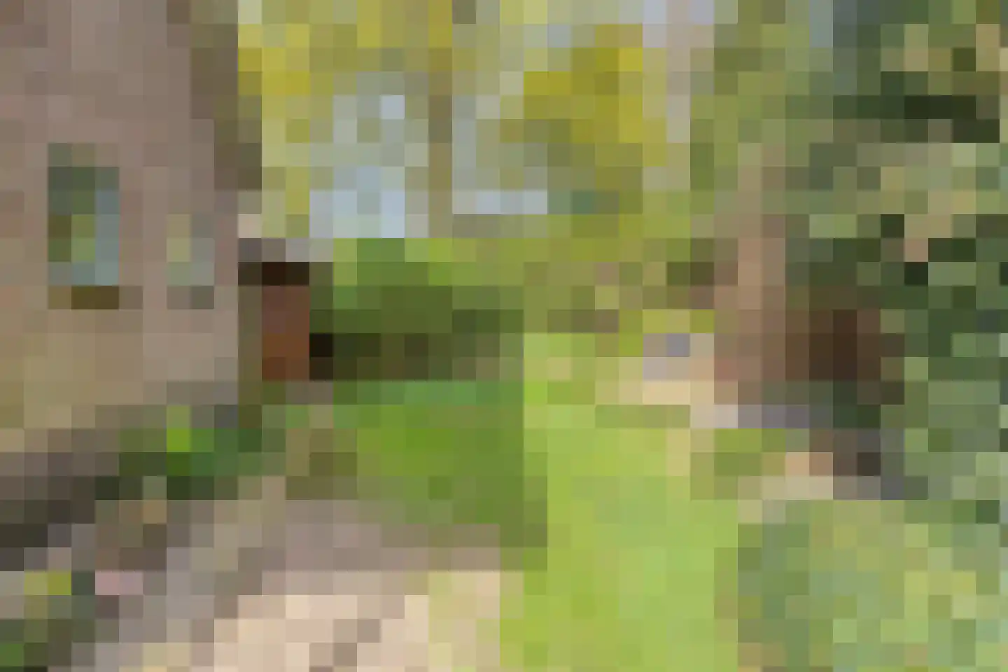 Marsweg 3 Didam thumbnail 13