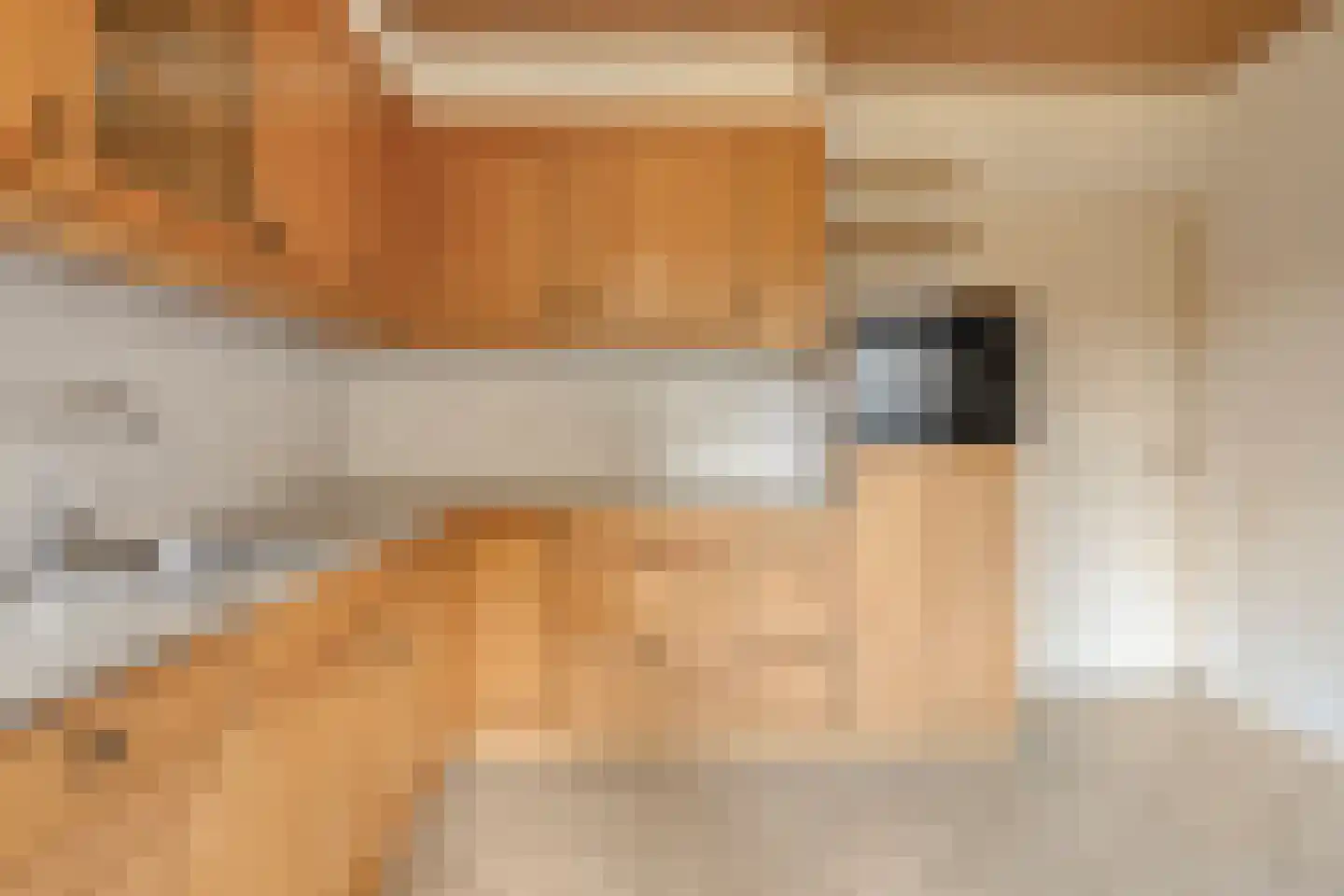 Marsweg 3 Didam thumbnail 33
