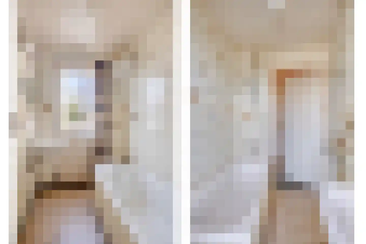 Marsweg 3 Didam thumbnail 51