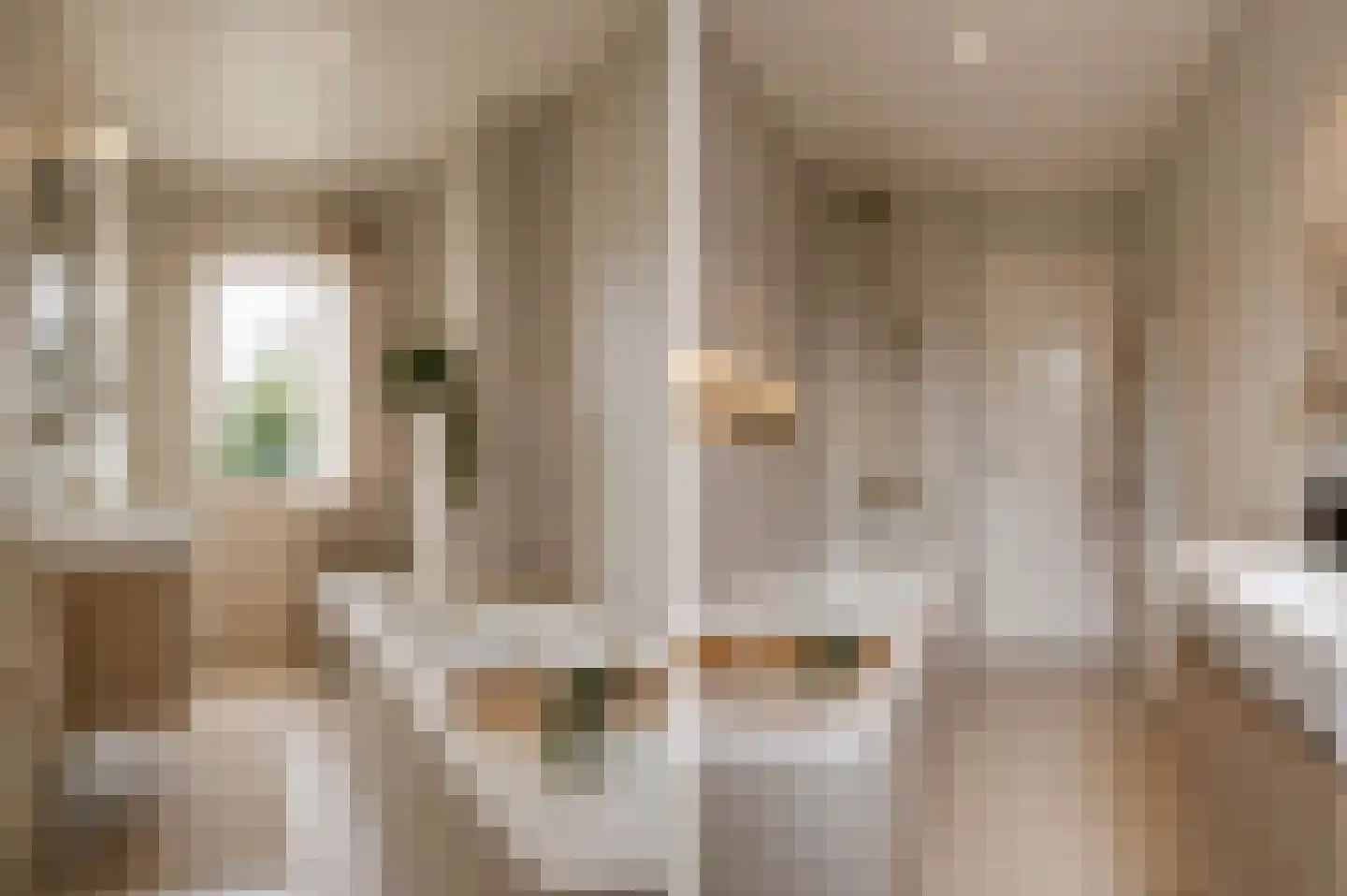 Marsweg 3 Didam thumbnail 52