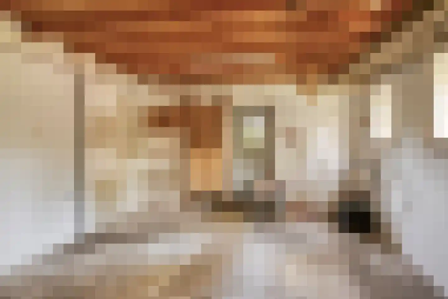 Marsweg 3 Didam thumbnail 67