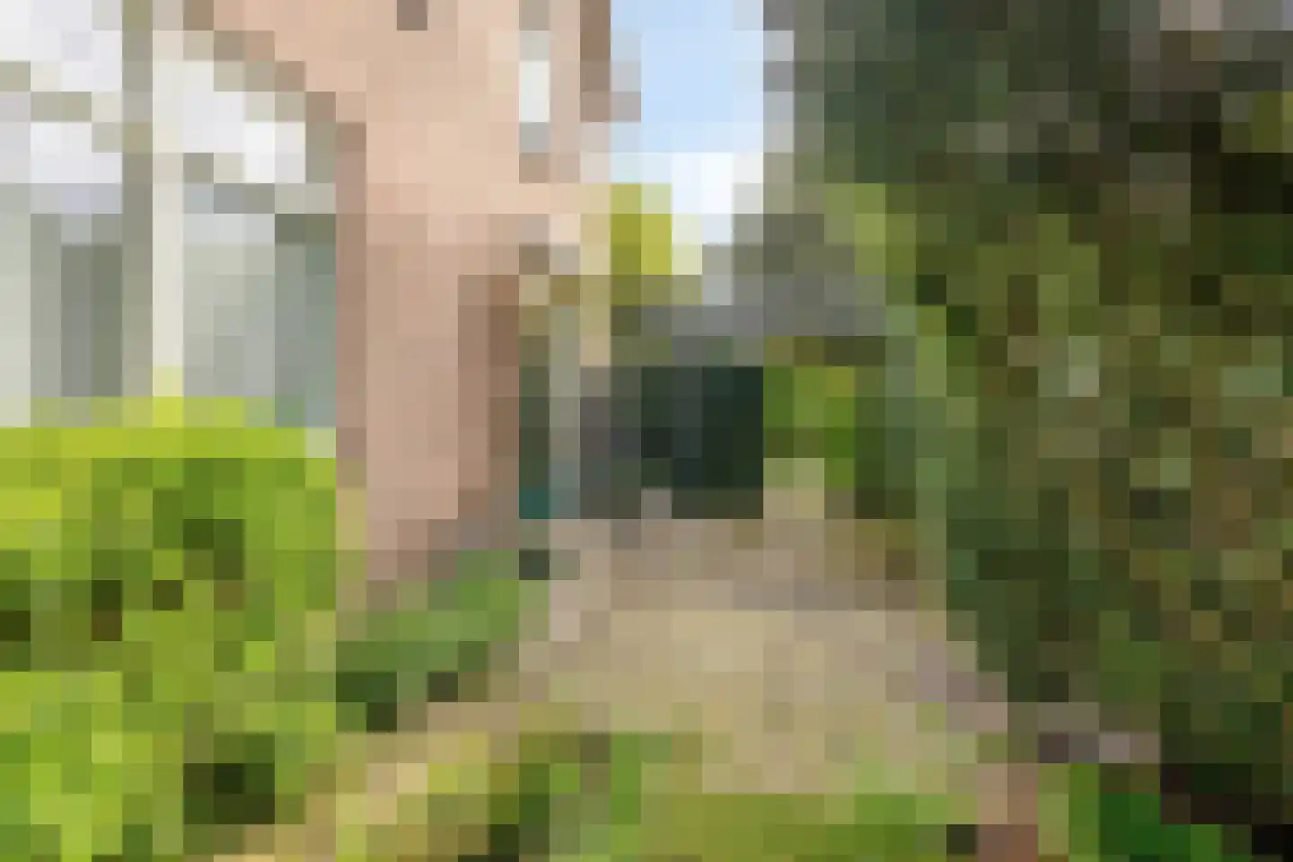 Marsweg 3 Didam thumbnail 74
