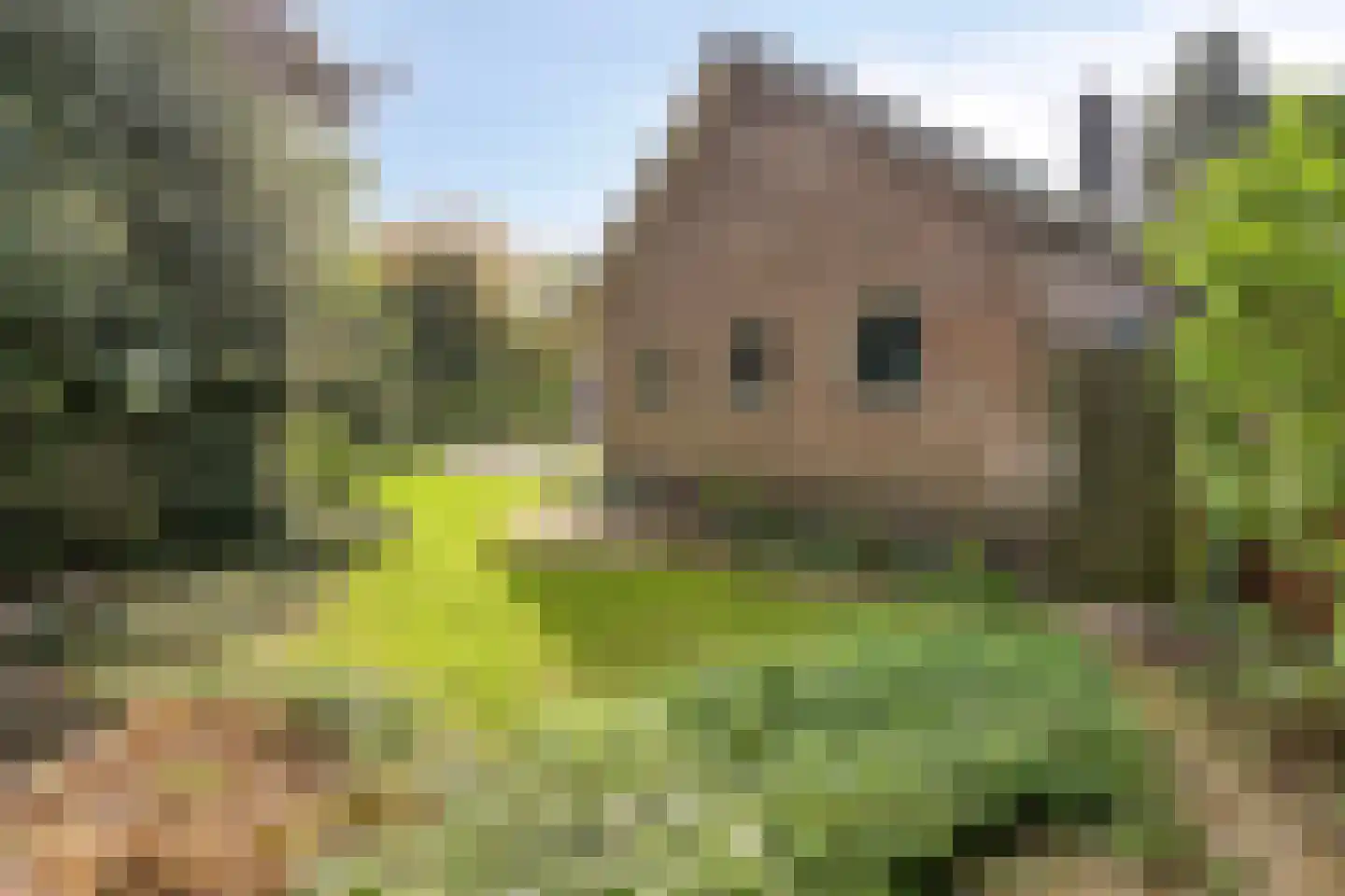 Marsweg 3 Didam thumbnail 77