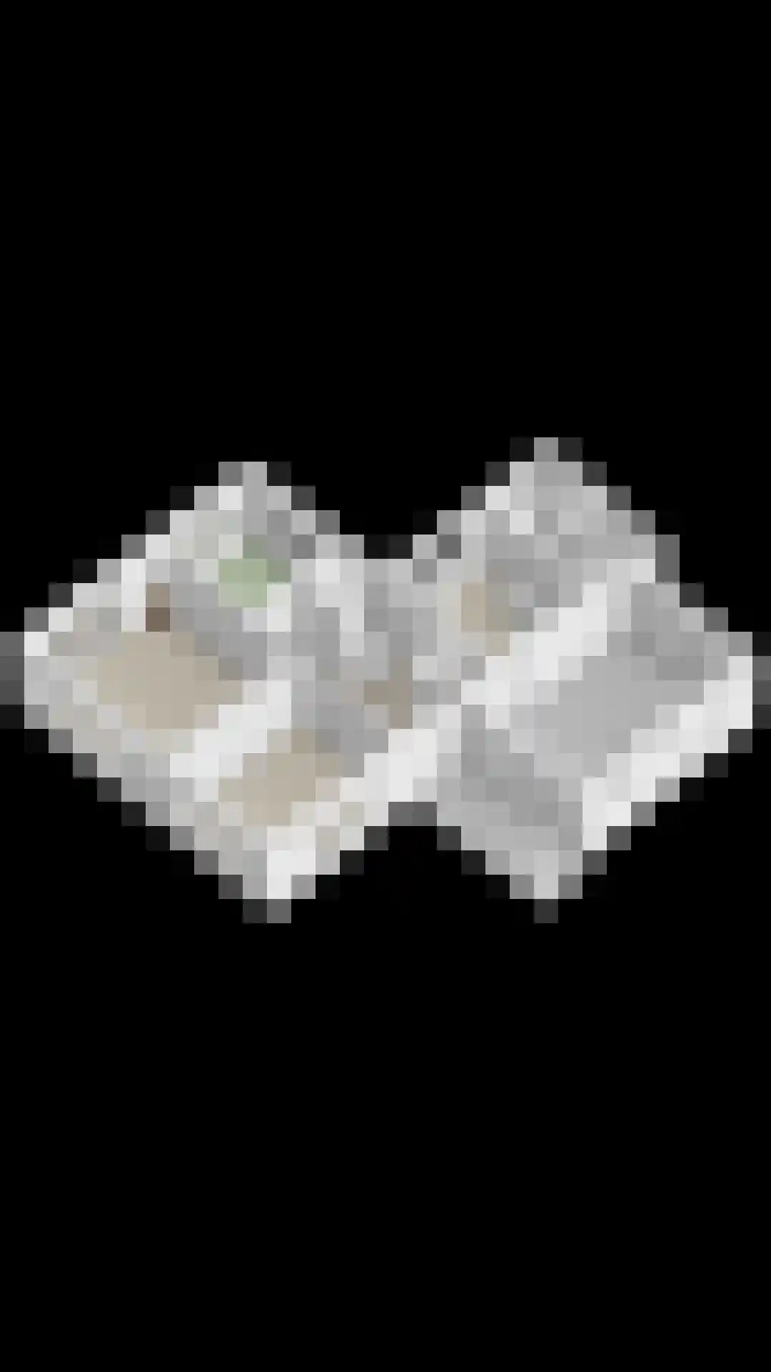 Marsweg 3 Didam thumbnail 86