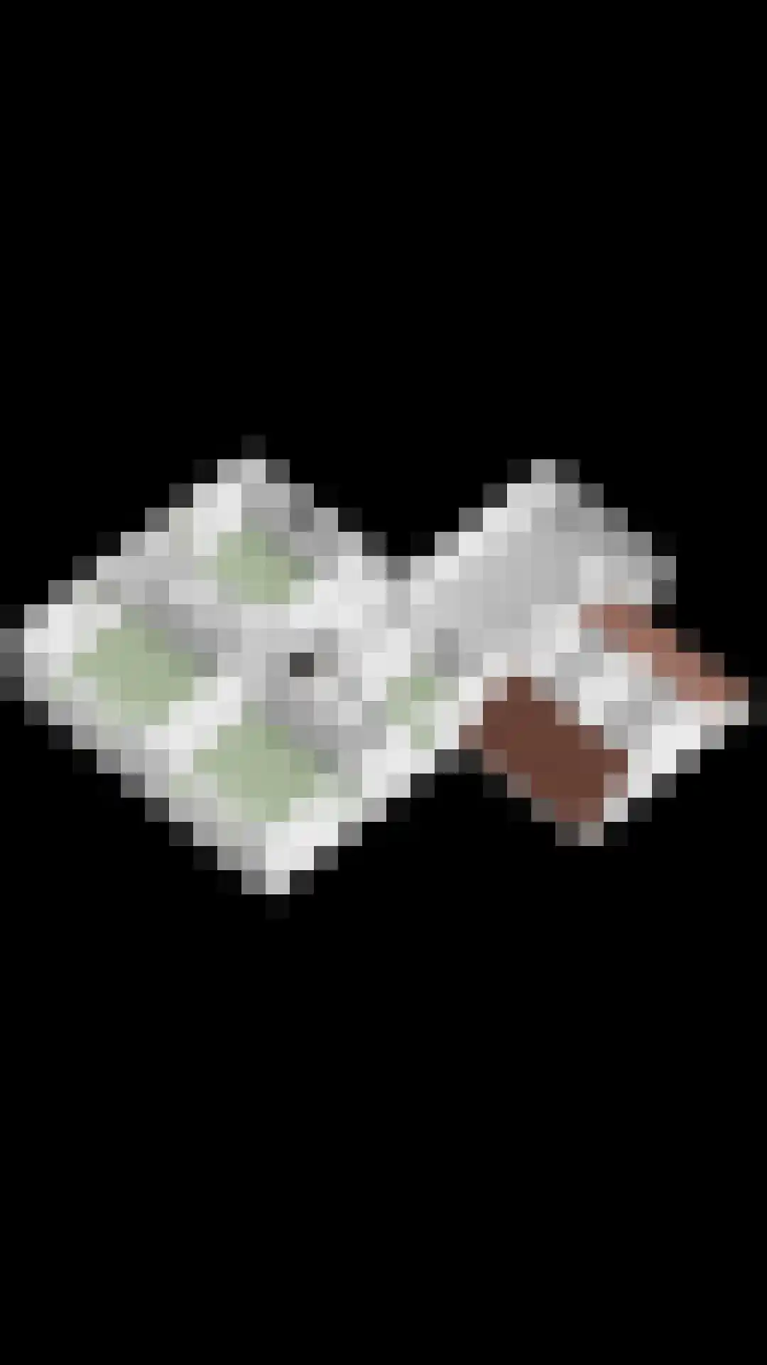 Marsweg 3 Didam thumbnail 87