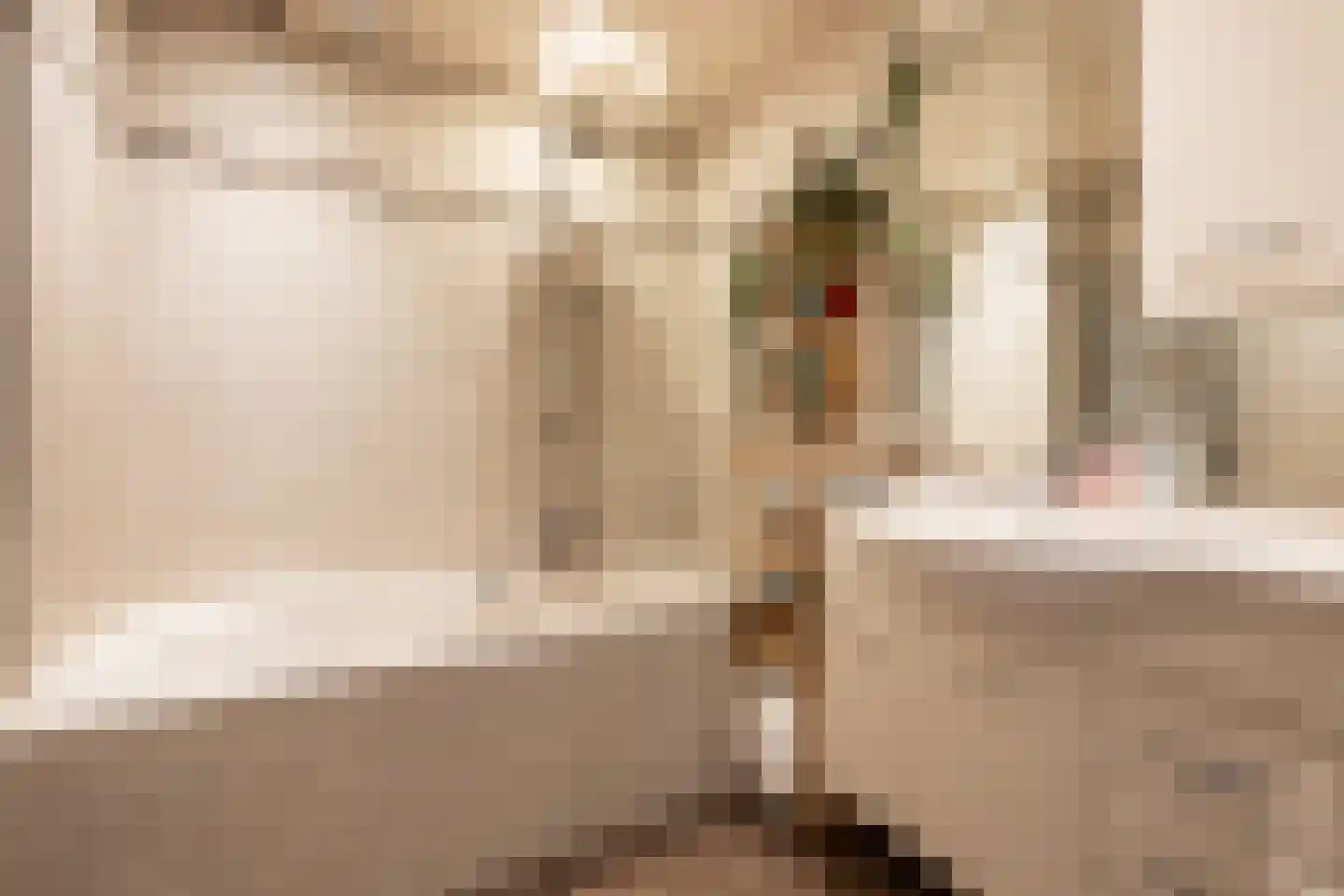 Marsweg 40 Oss thumbnail 16