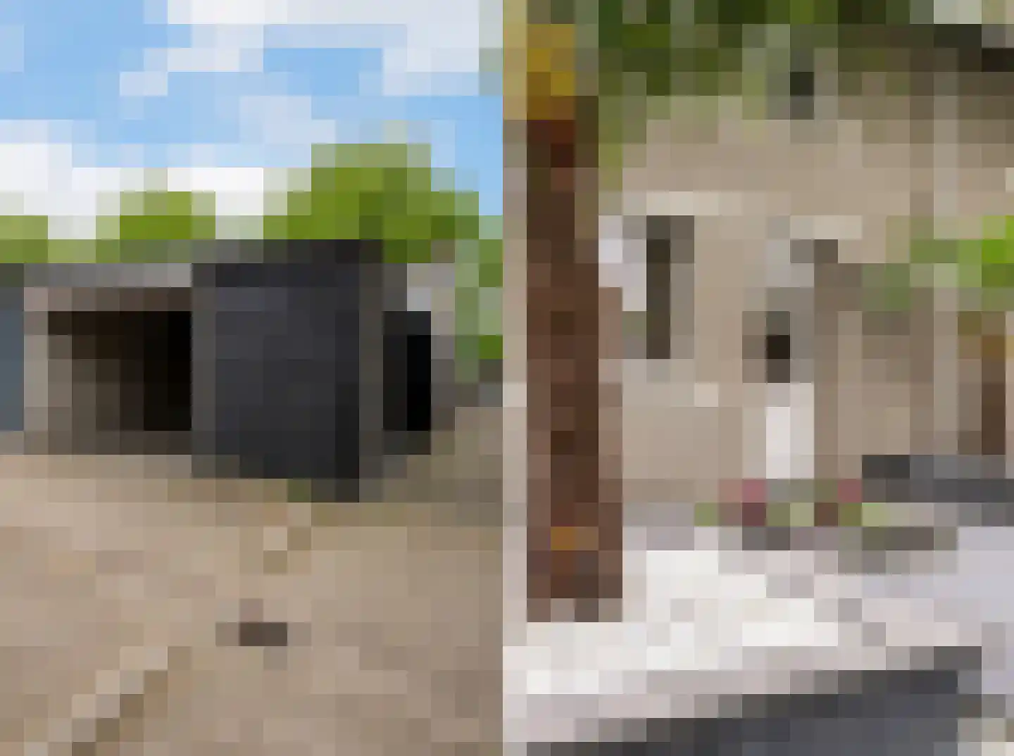 Marsweg 40 Oss thumbnail 23