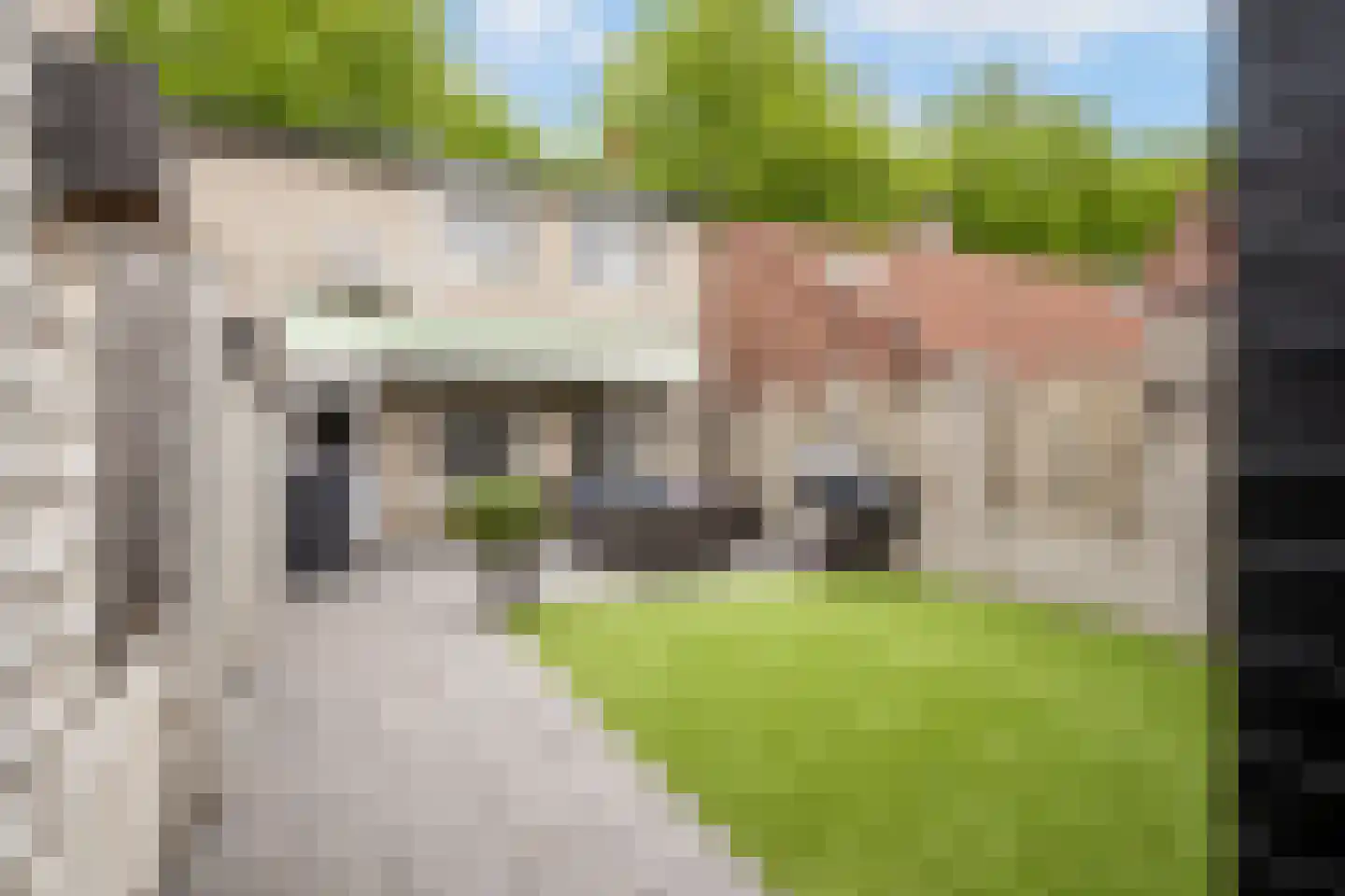 Marsweg 40 Oss thumbnail 4
