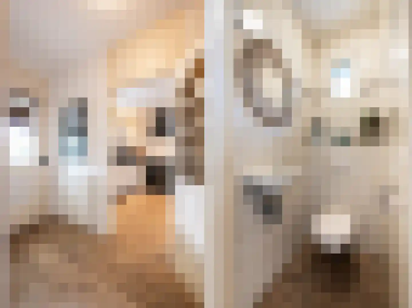 Marsweg 40 Oss thumbnail 6
