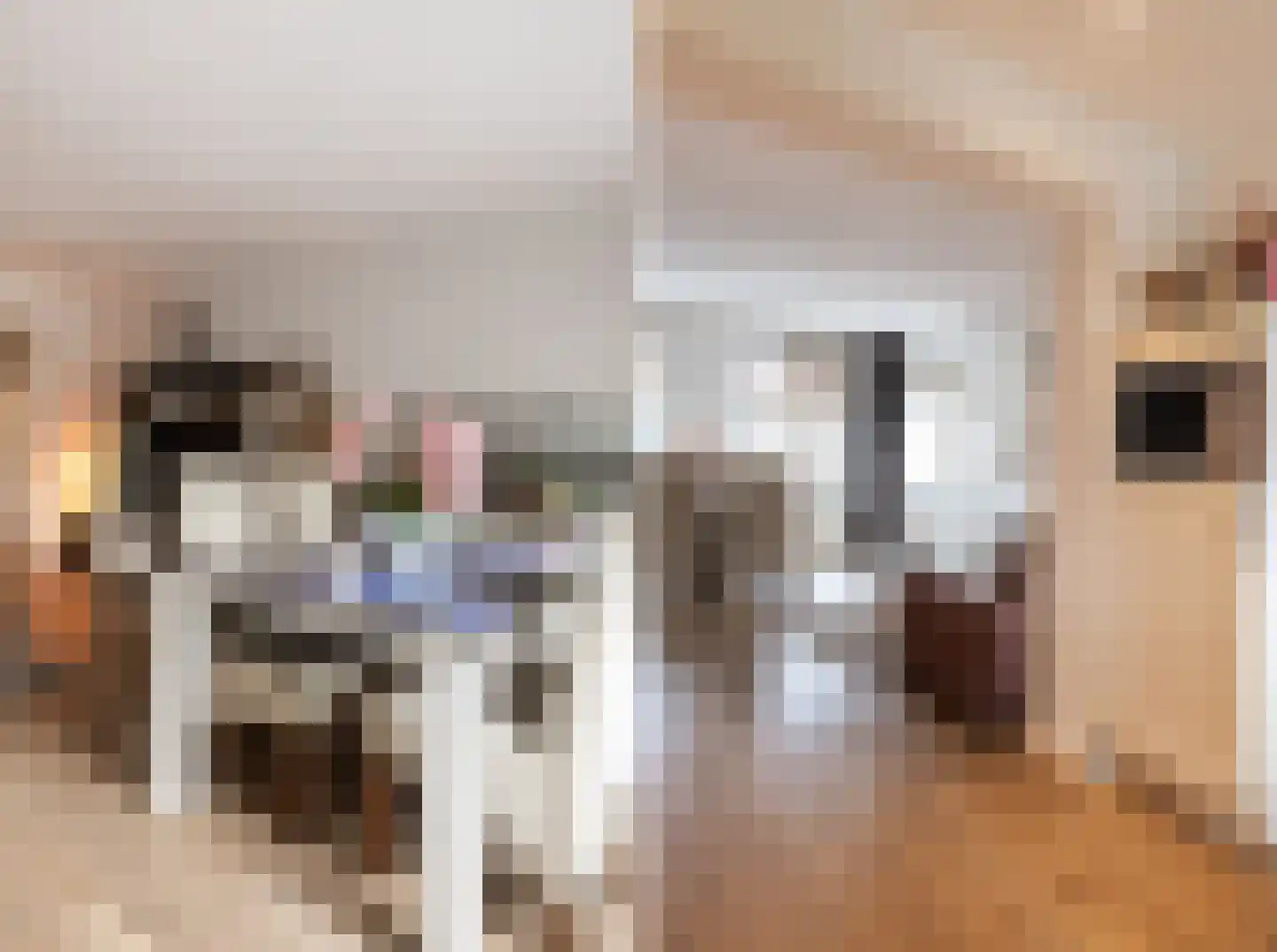 Marsweg 40 Oss thumbnail 9