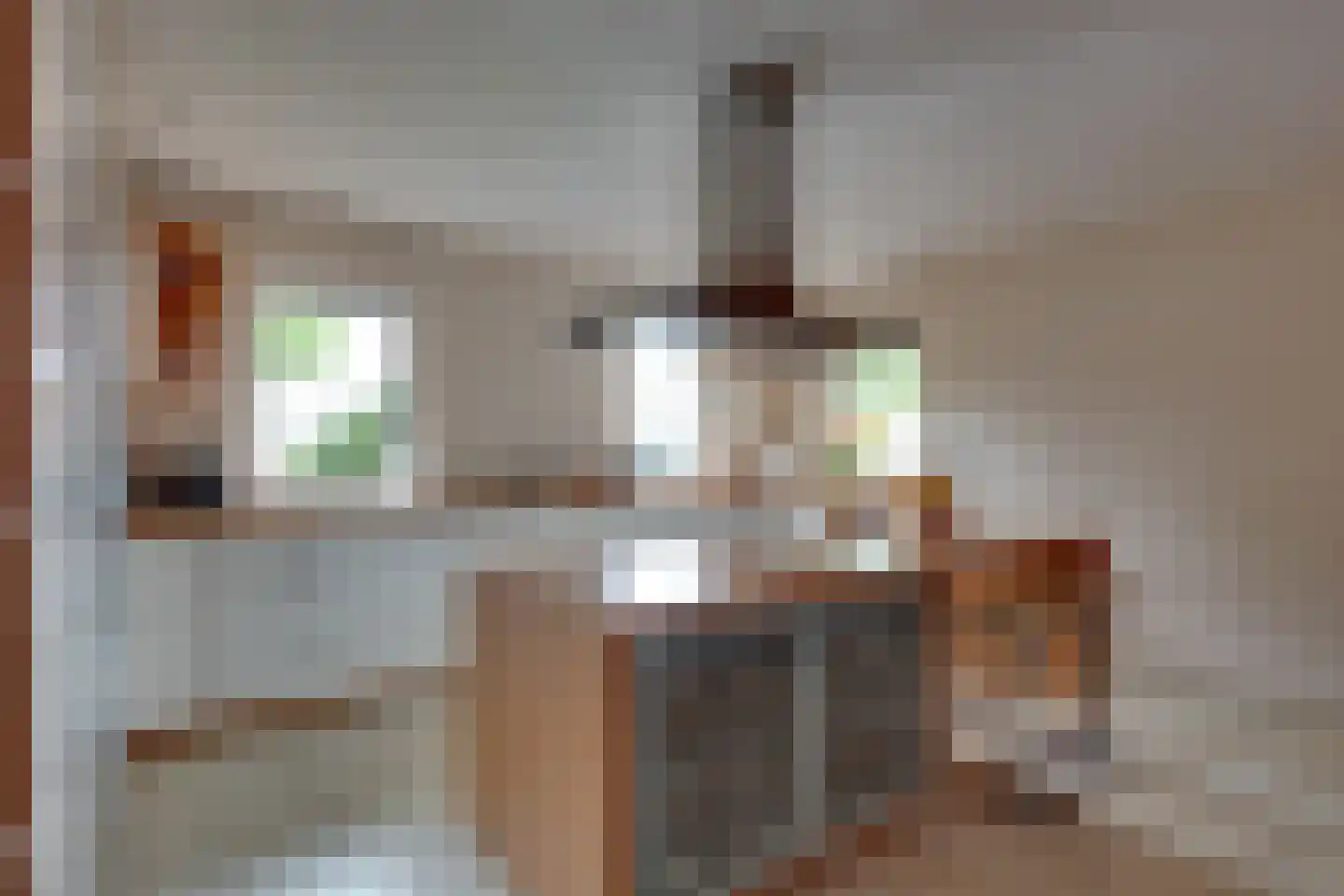 Marsweg 44 Spijk thumbnail 17