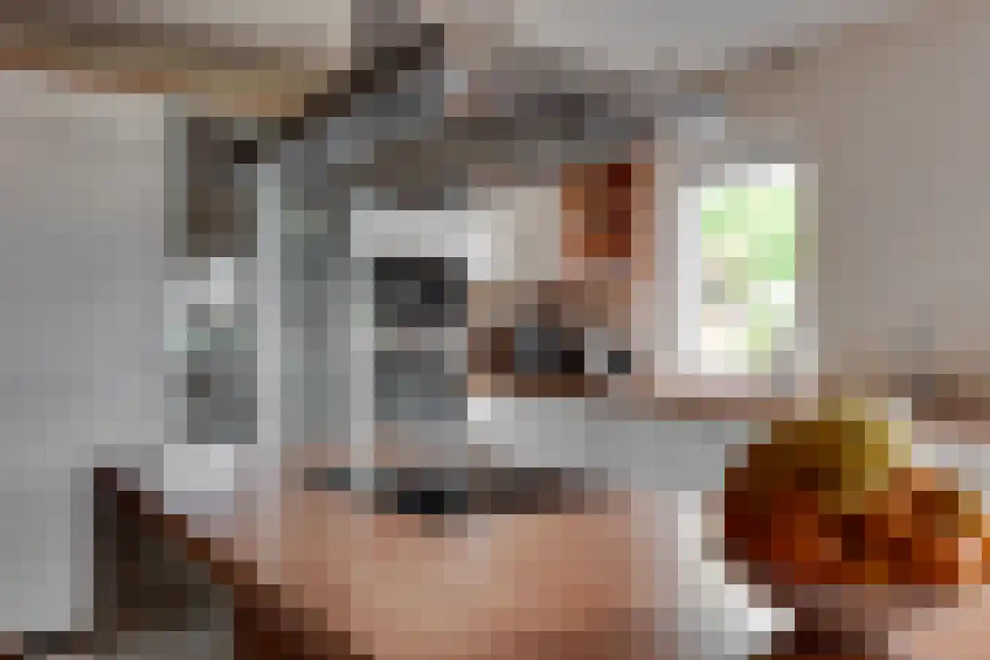 Marsweg 44 Spijk thumbnail 19