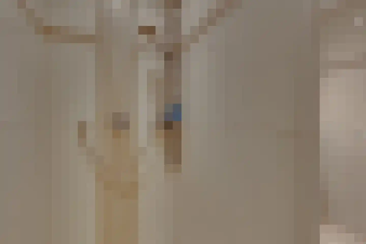 Marsweg 44 Spijk thumbnail 41