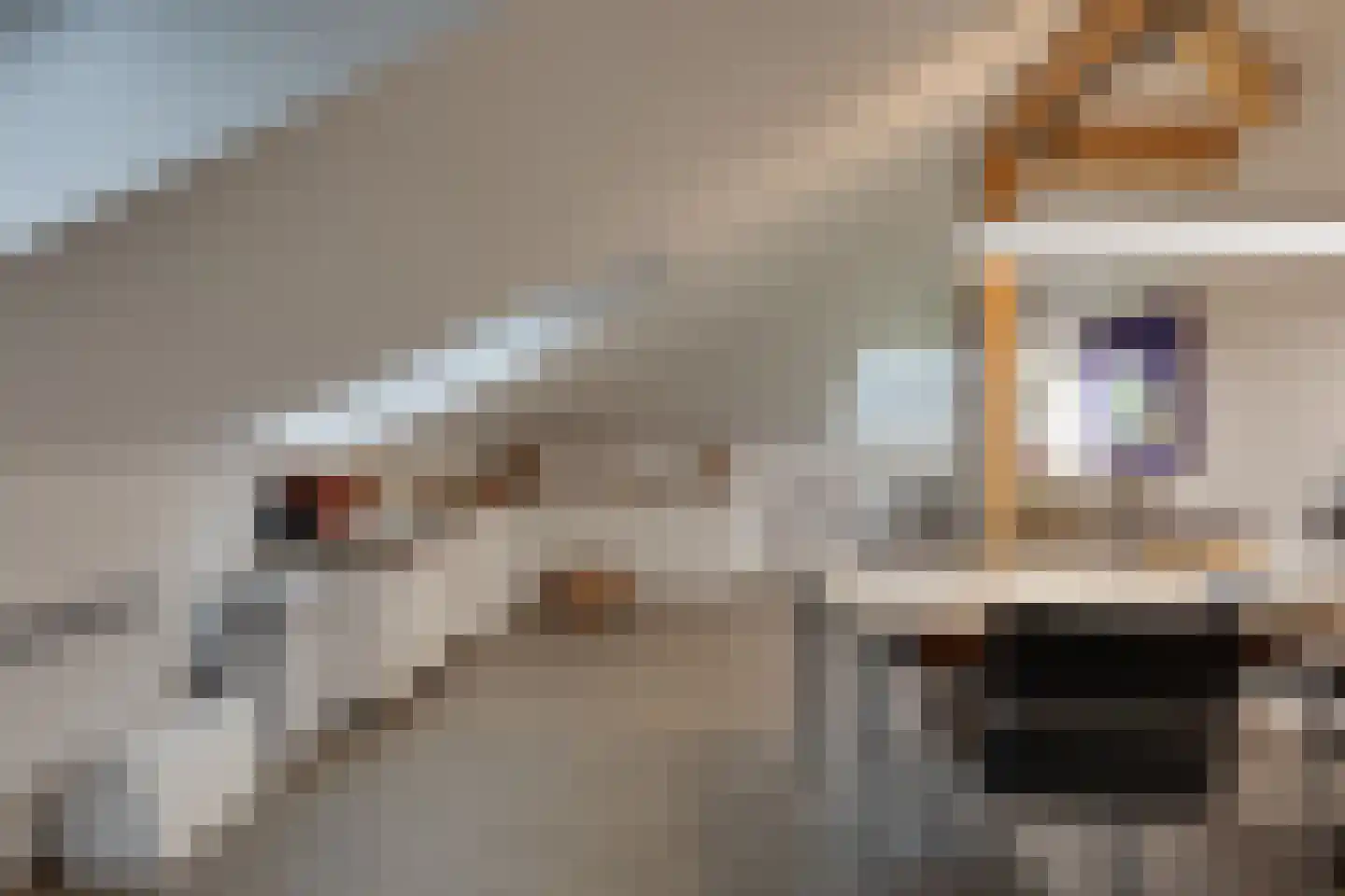 Marsweg 44 Spijk thumbnail 49