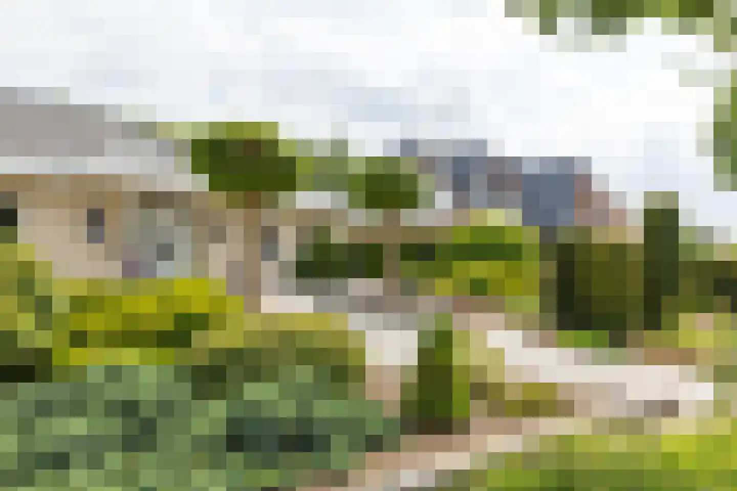 Marsweg 44 Spijk thumbnail 5