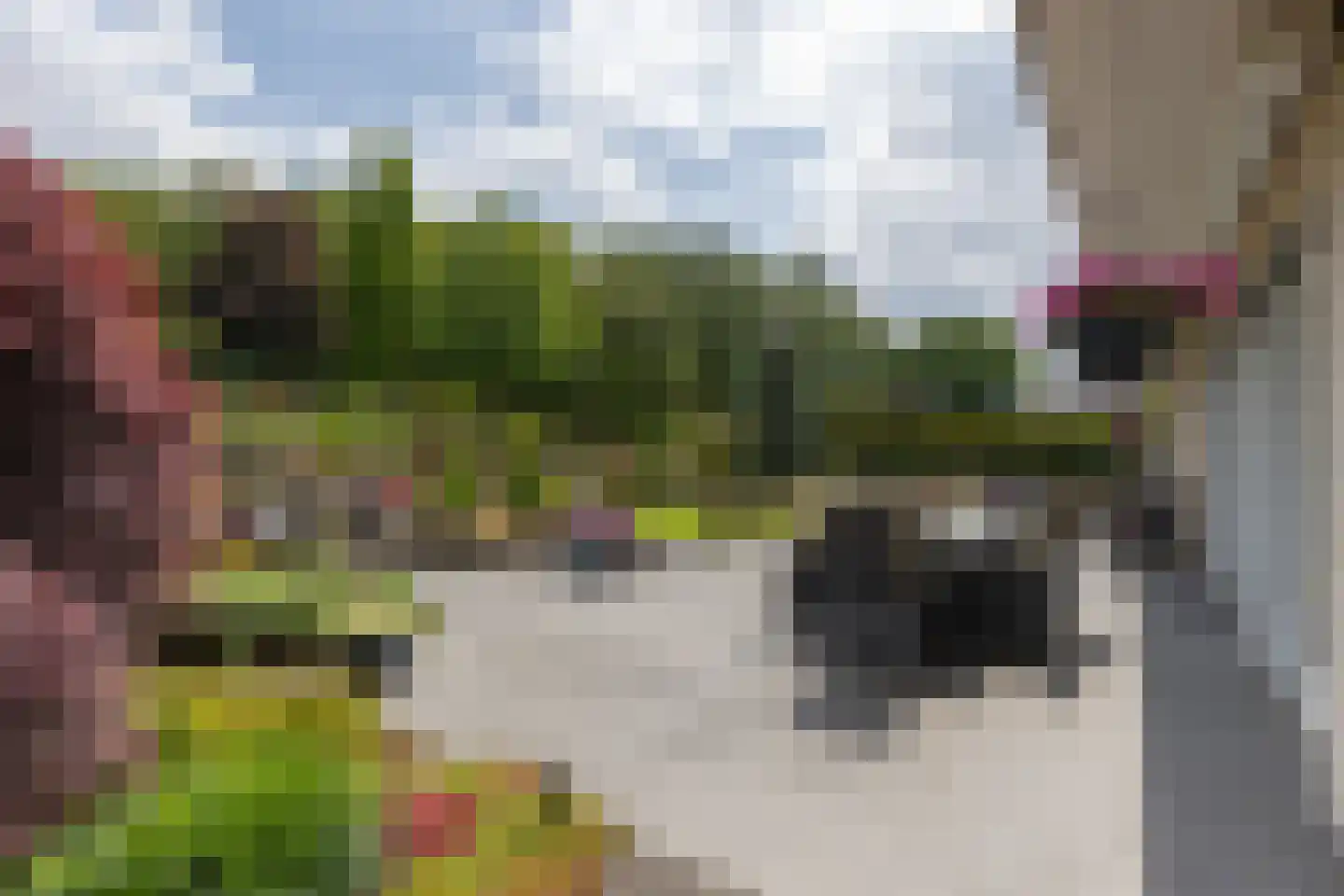Marsweg 44 Spijk thumbnail 59