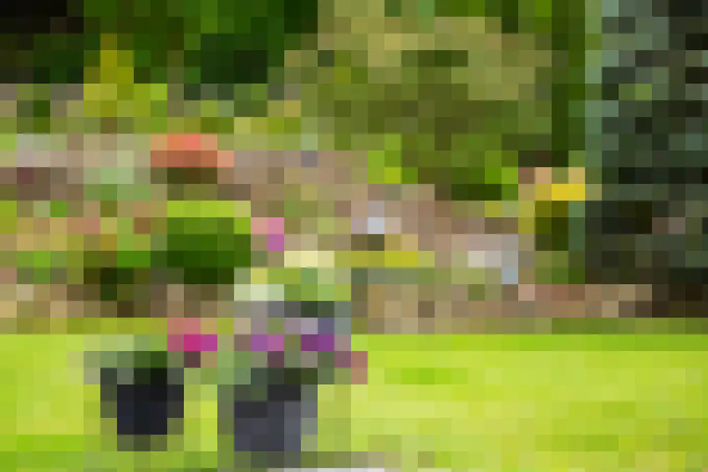 Marsweg 44 Spijk thumbnail 60