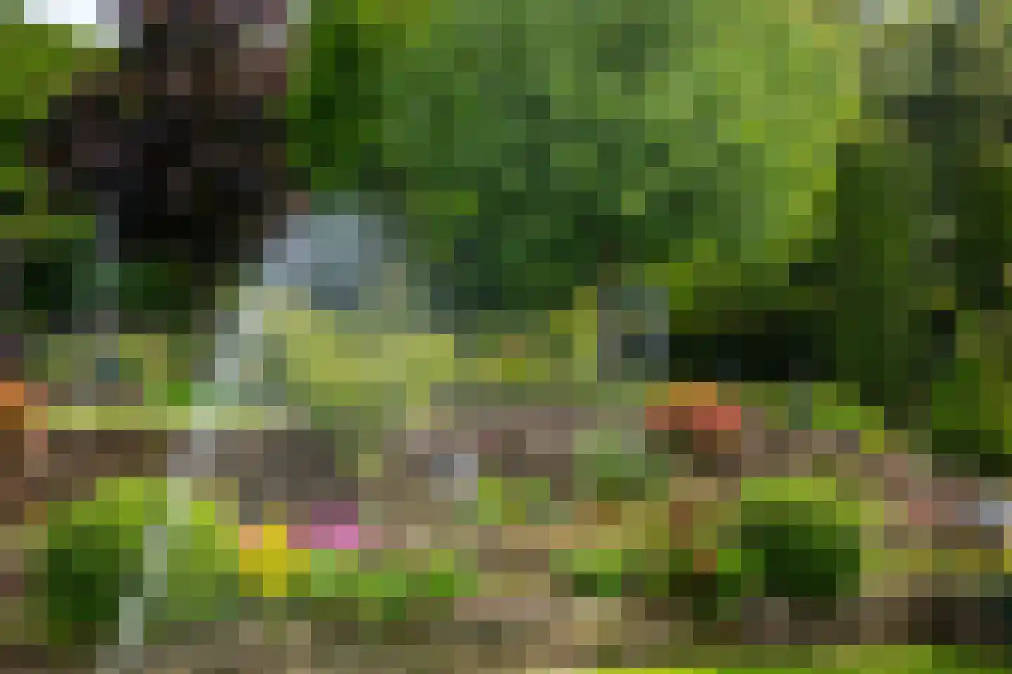 Marsweg 44 Spijk thumbnail 61