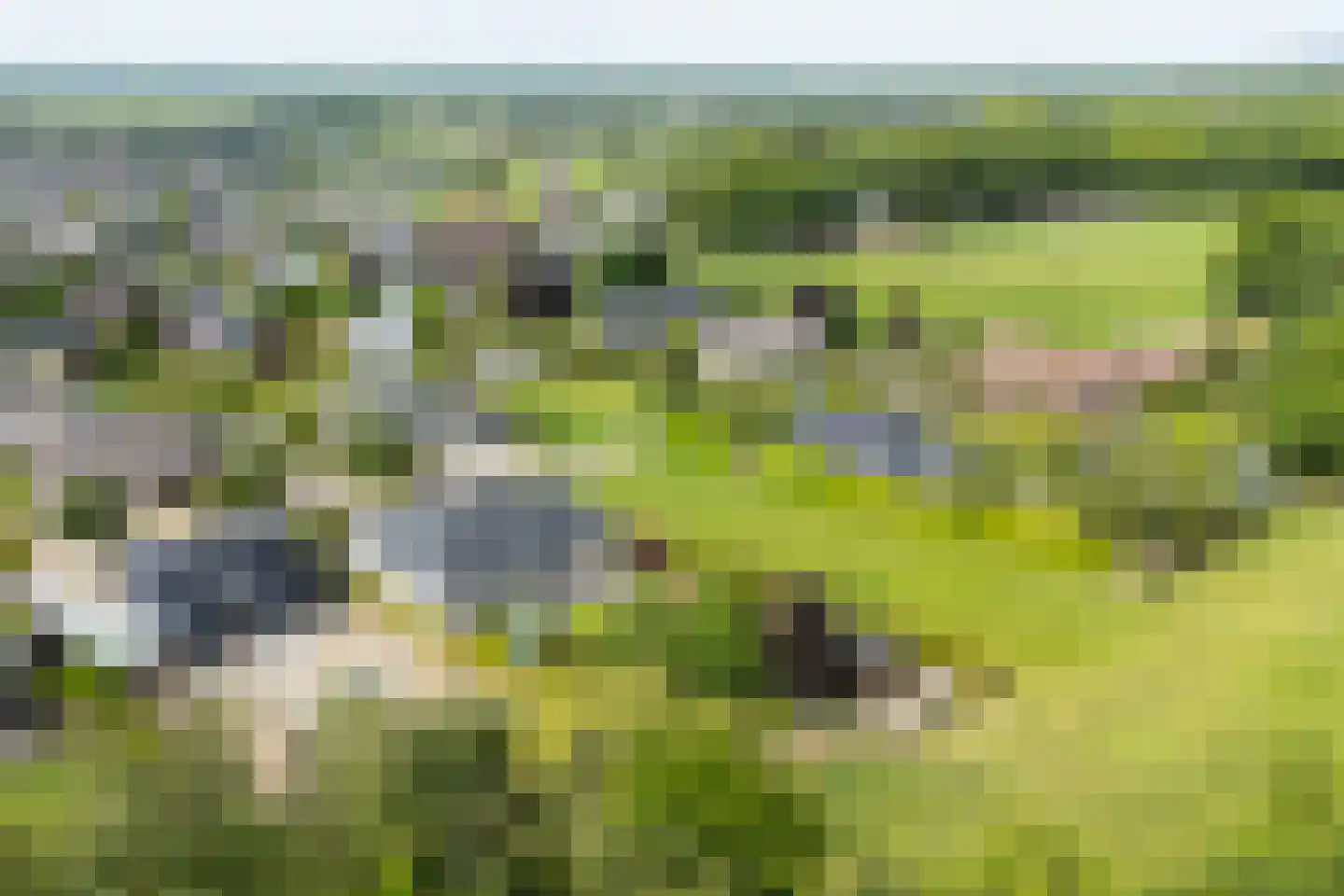 Marsweg 44 Spijk thumbnail 62