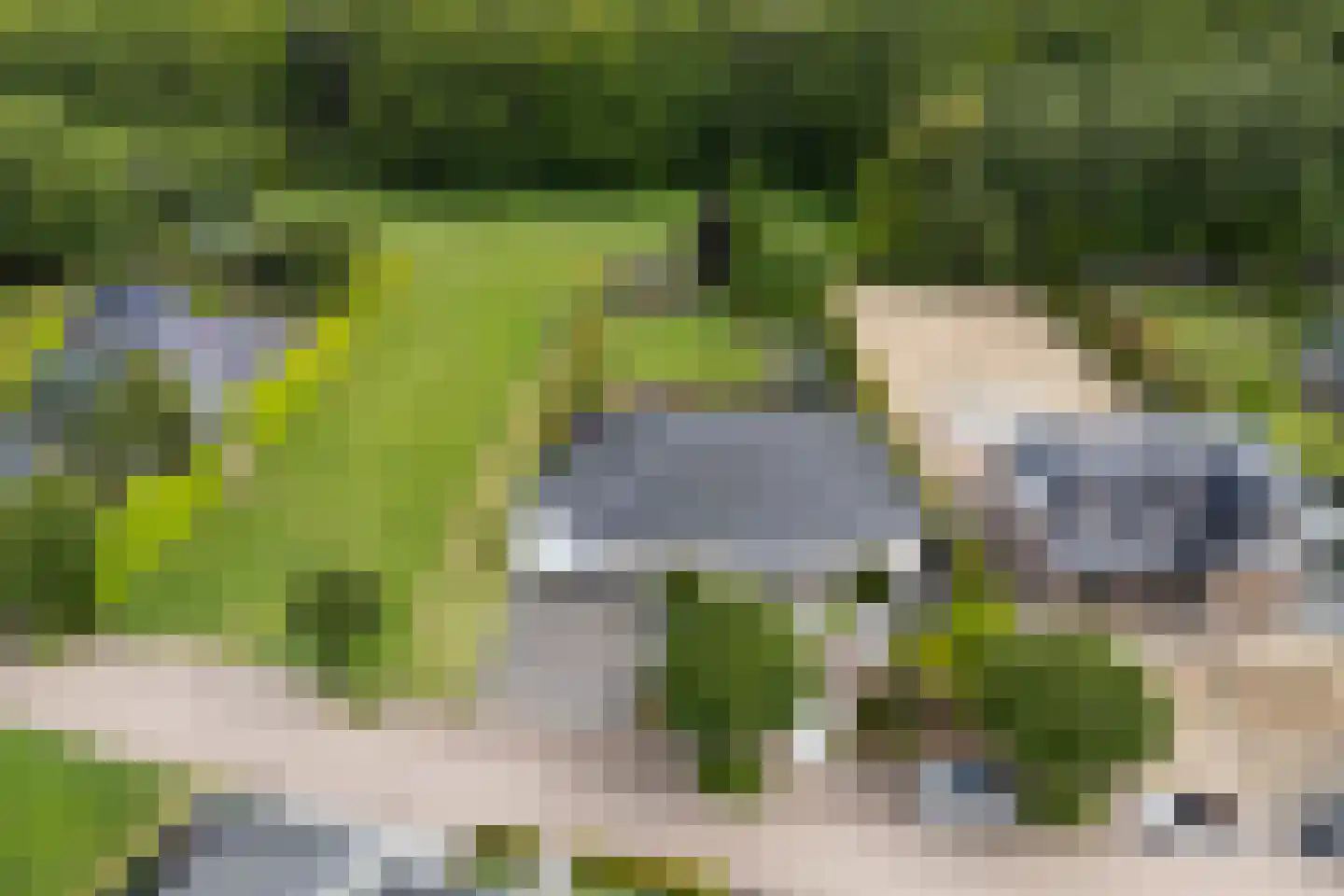 Marsweg 44 Spijk thumbnail 63
