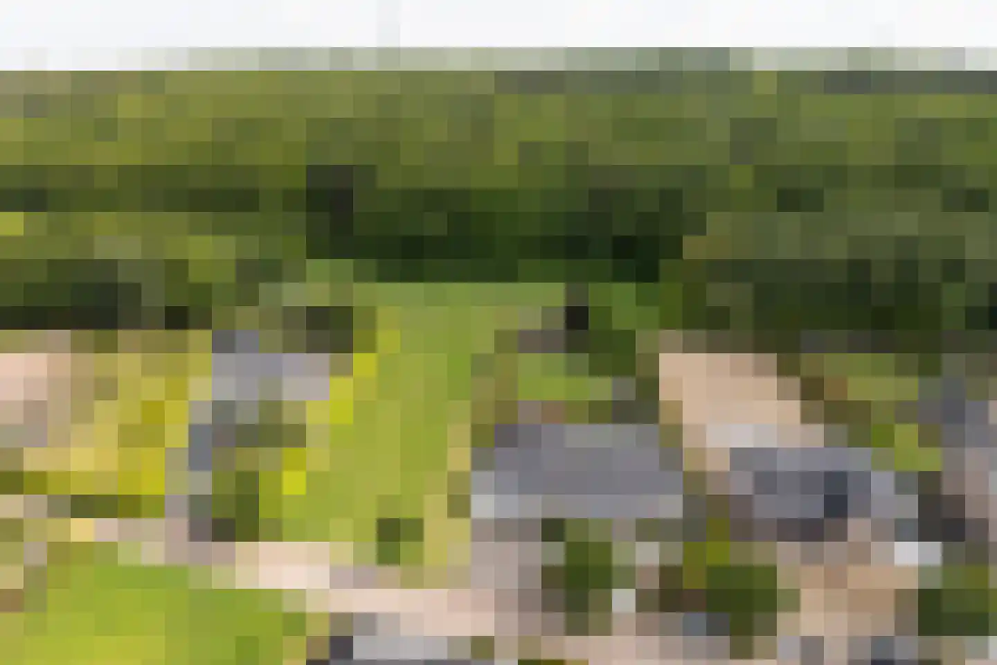 Marsweg 44 Spijk thumbnail 64