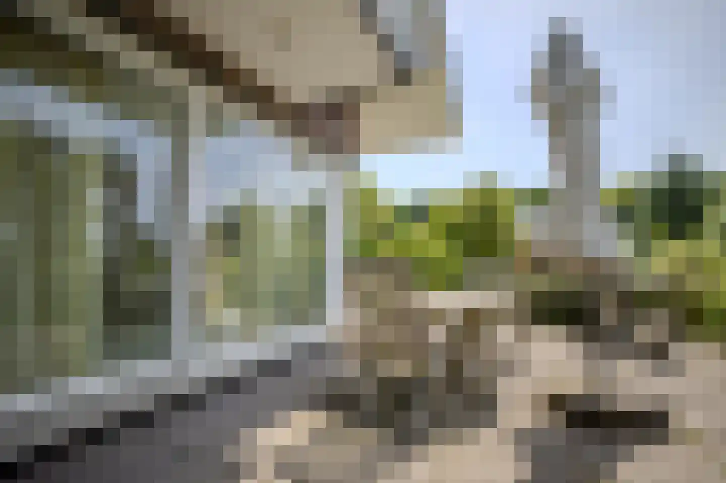 Marsweg 47 Spijk thumbnail 10