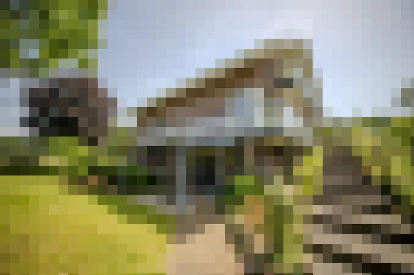 Marsweg 47 Spijk thumbnail 12