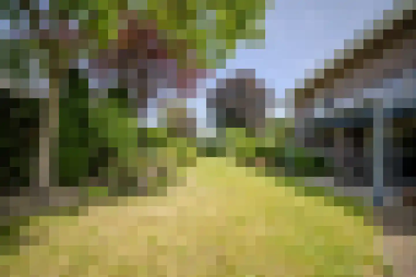 Marsweg 47 Spijk thumbnail 15