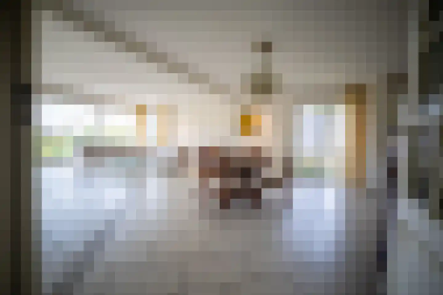 Marsweg 47 Spijk thumbnail 19