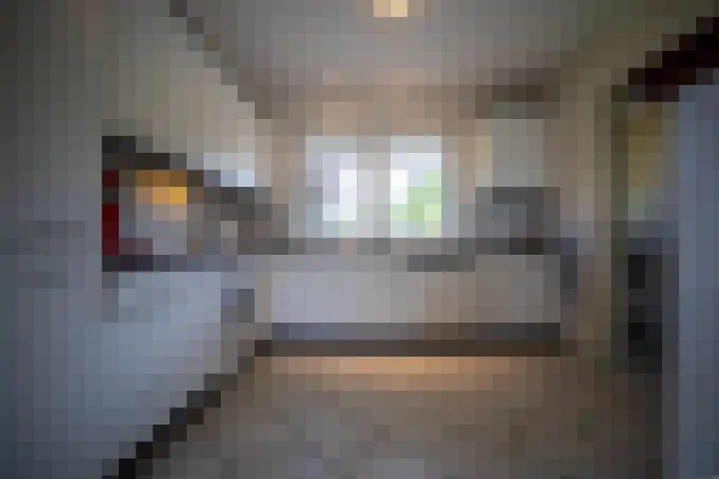 Marsweg 47 Spijk thumbnail 21