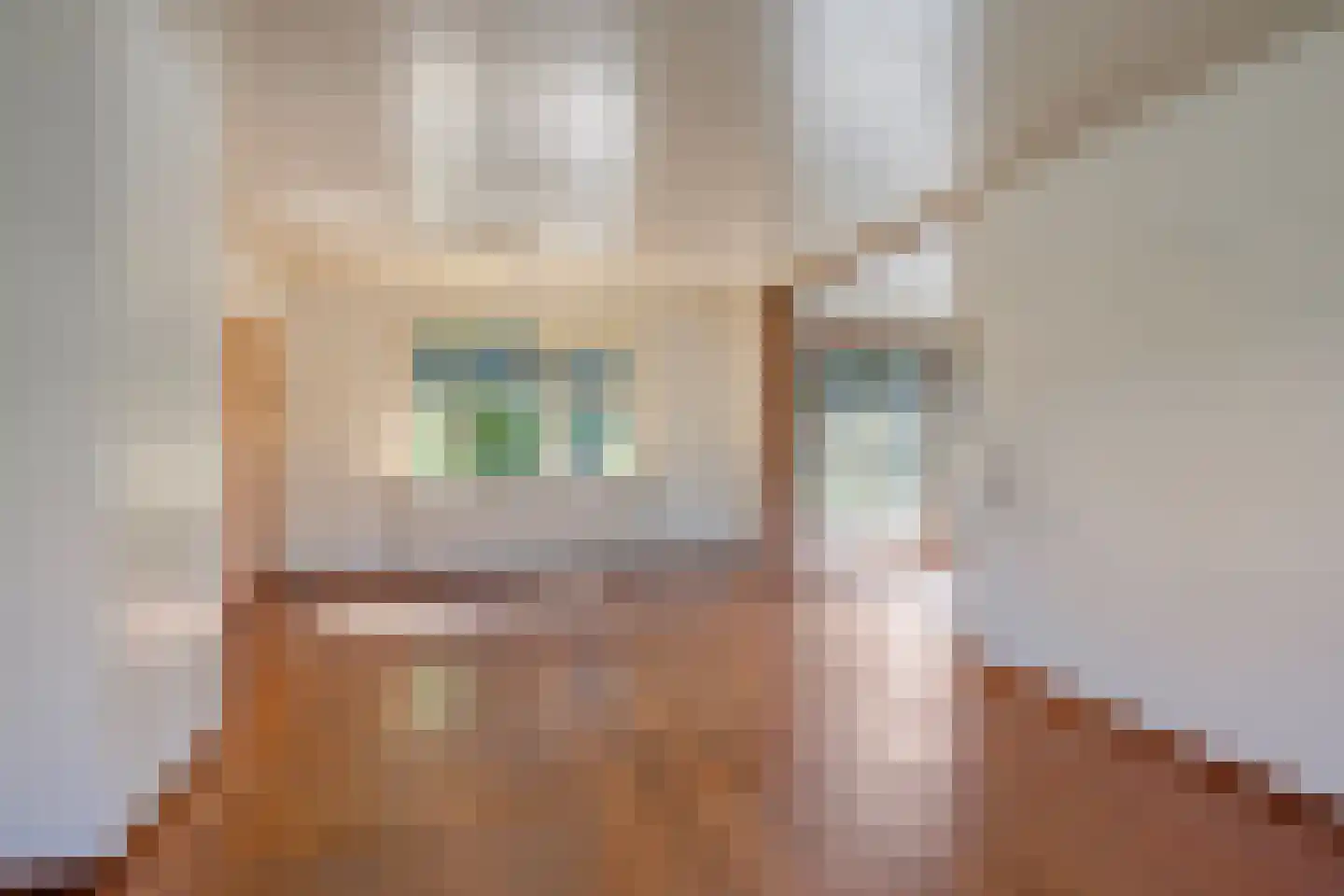 Marsweg 8 Didam thumbnail 11