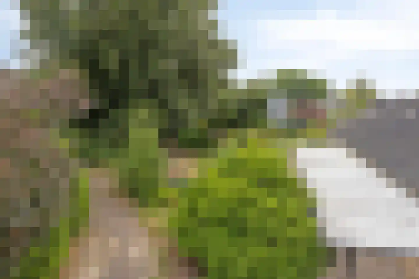 Marsweg 8 Didam thumbnail 19