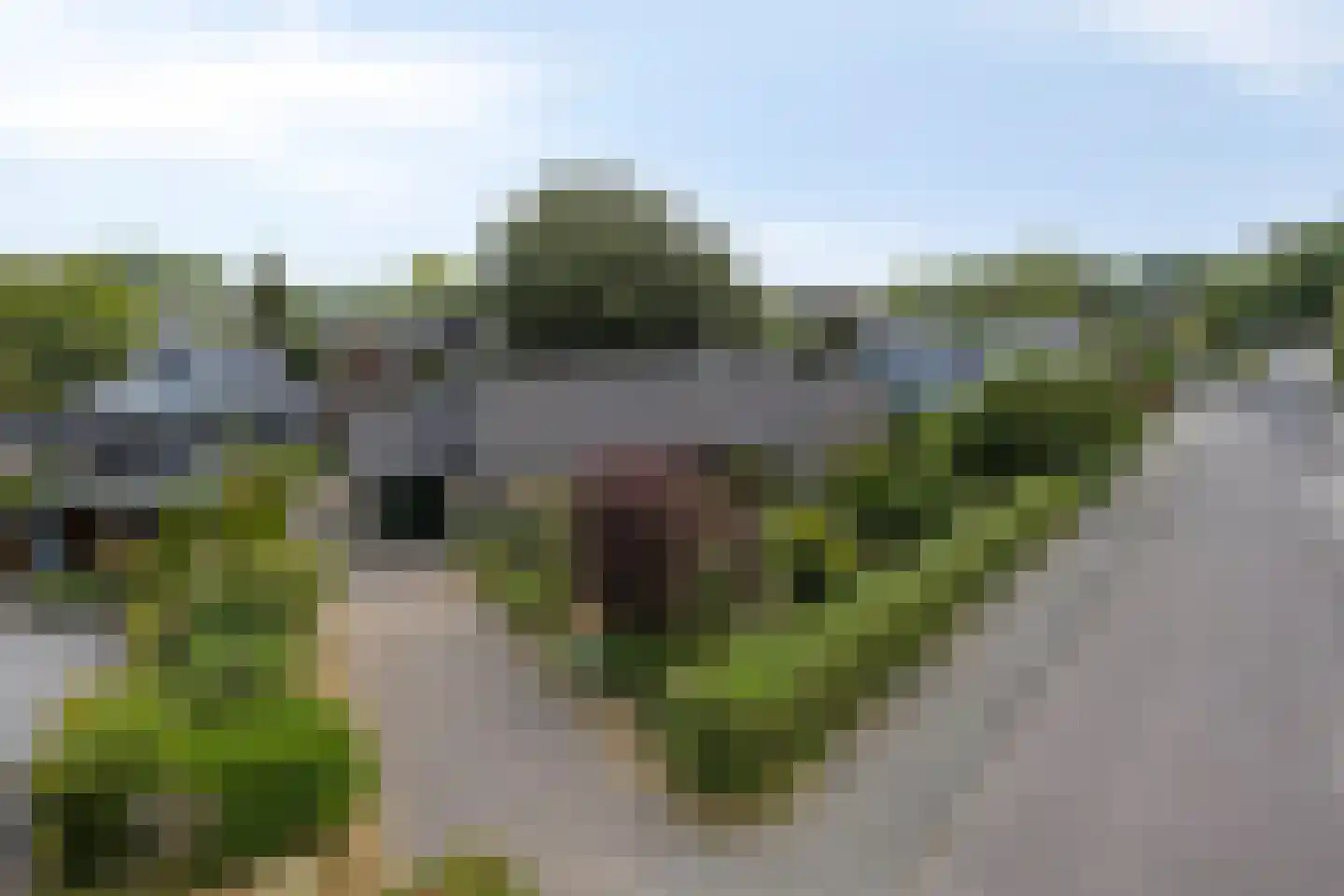 Marsweg 8 Didam foto 2