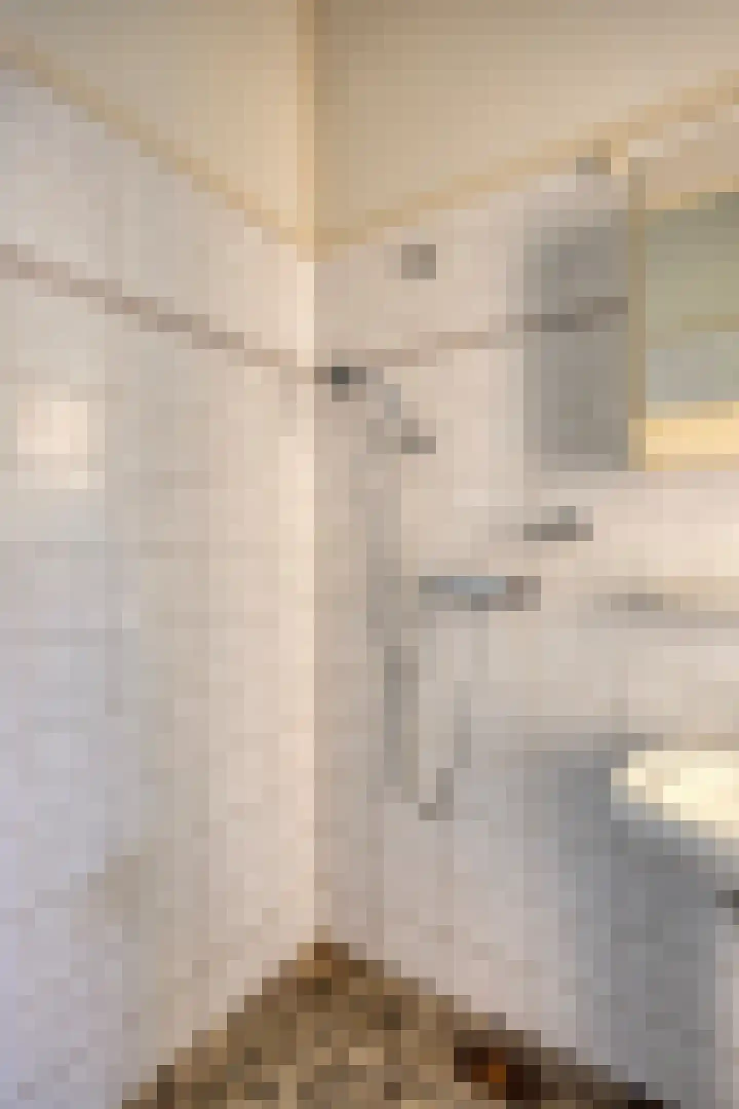 Marsweg 8 Didam thumbnail 27