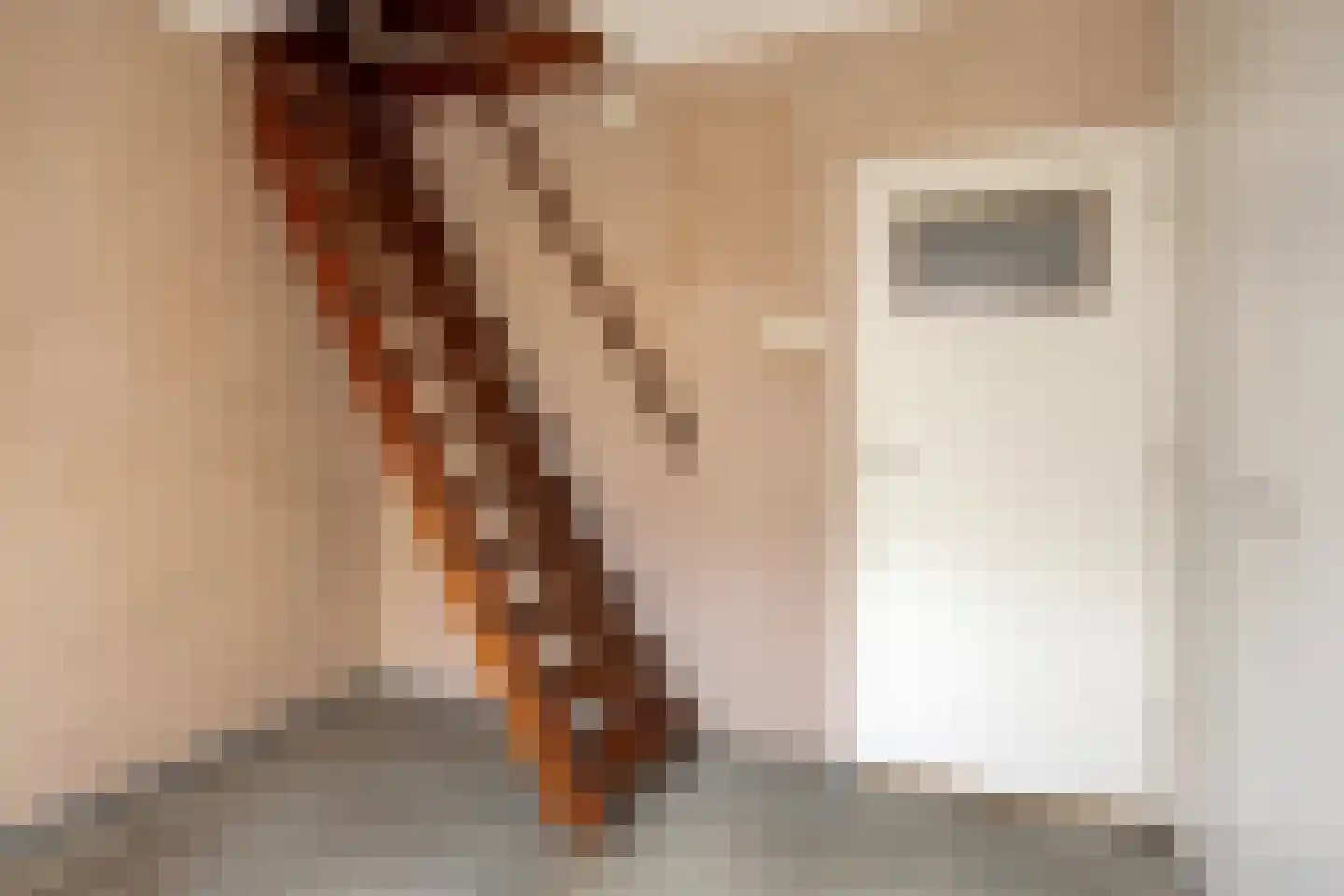 Marsweg 8 Didam thumbnail 31