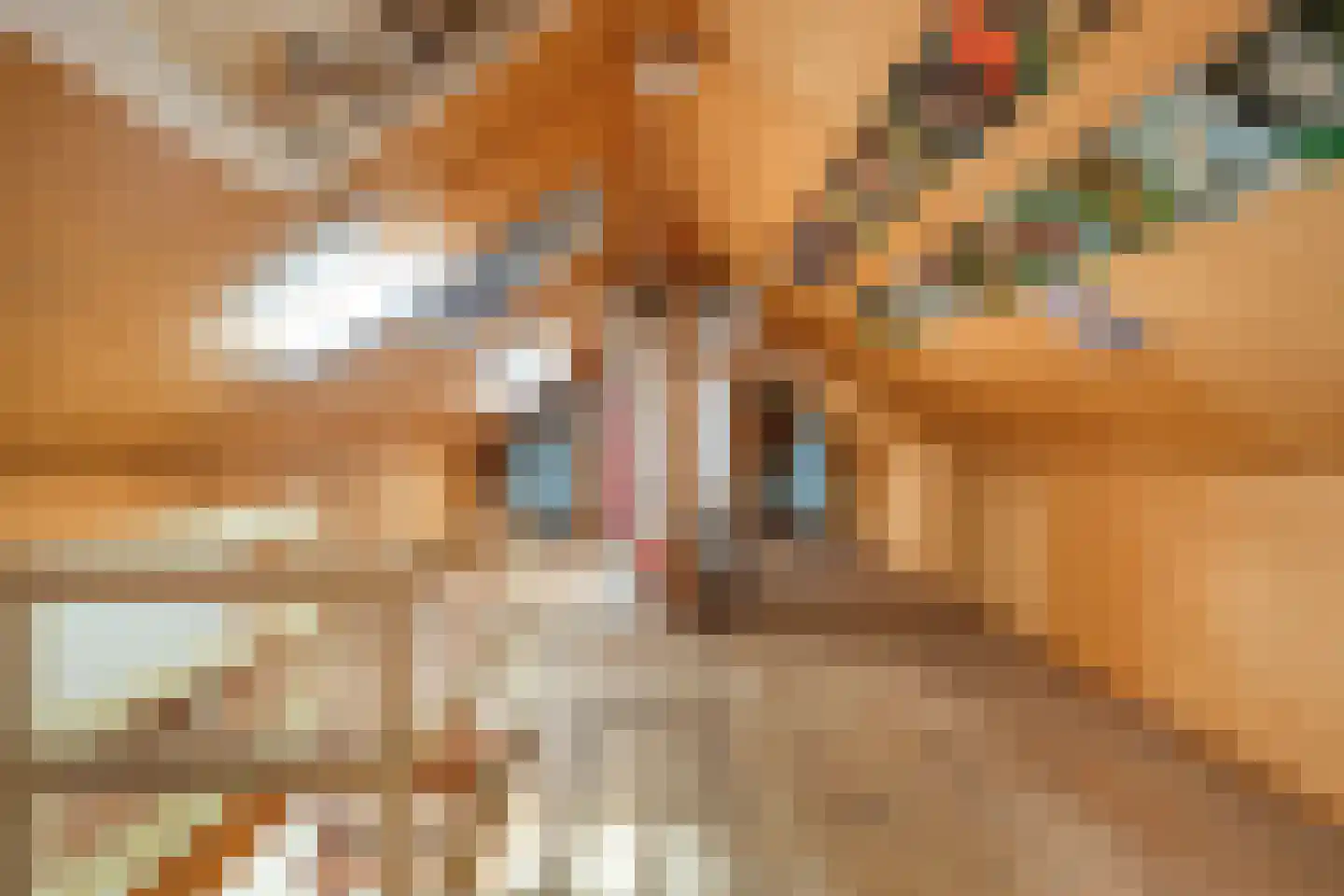 Marsweg 8 Didam thumbnail 33