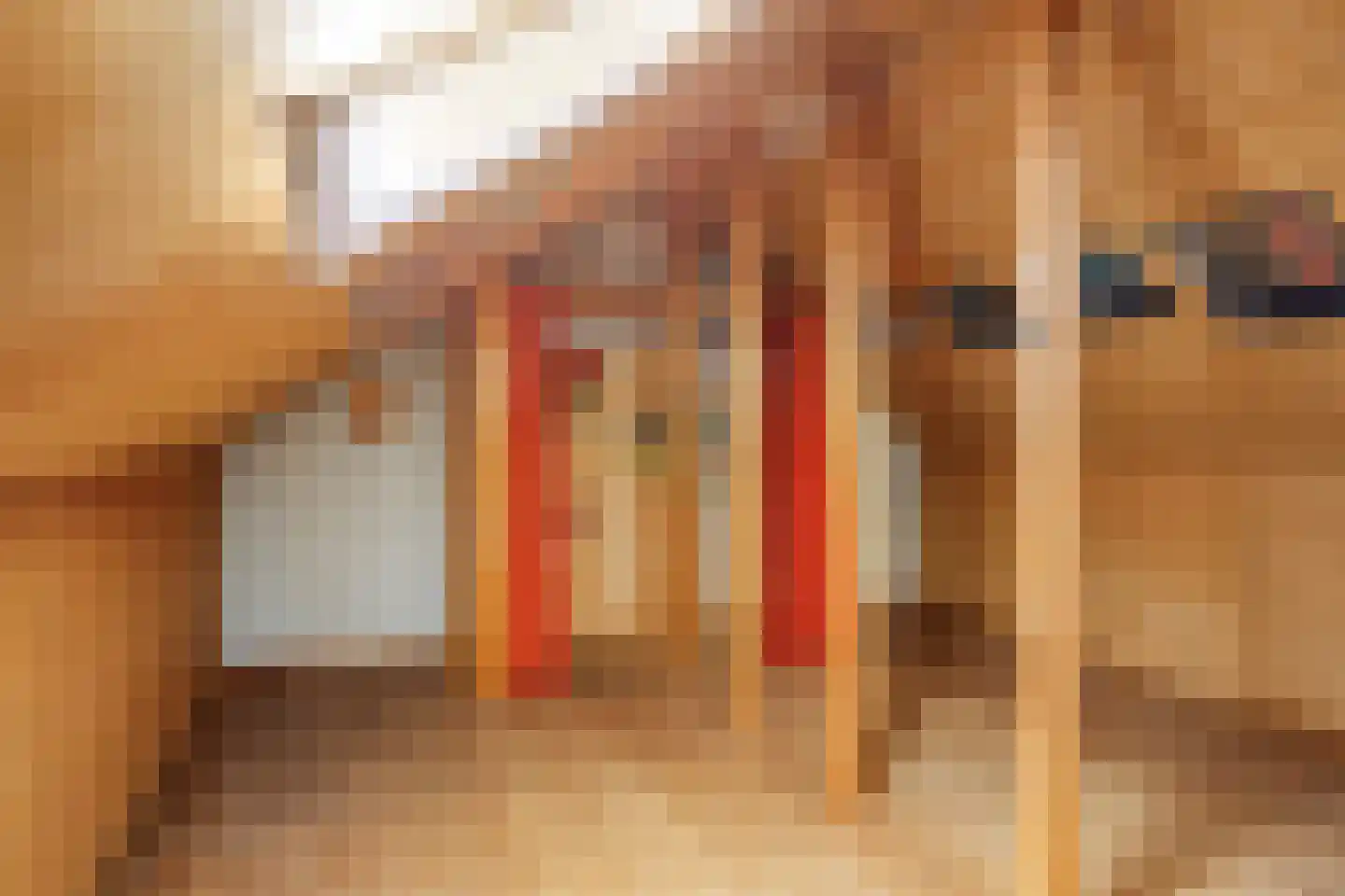 Marsweg 8 Didam thumbnail 34